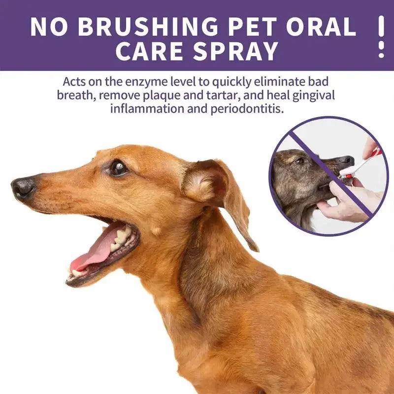 Pet Oral Cleanse Spray 50Ml Dogs Cats Mouth Fresh Teeth Clean Deodorant Prevent Calculus Remove Kitten Bad Breath Pet Supplies